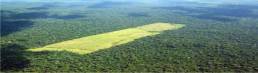 desmatamento-tem-alta-na-amazonia-em-agosto-e-setembro-diz-imazon