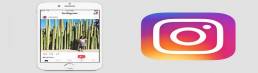 instagram-ganha-visual-discreto-e-novo-logo-extravagante